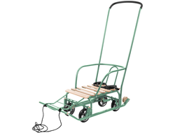 Продажа детских зимних саней Team 3.0 (Green) в Иркутске по низким ценам