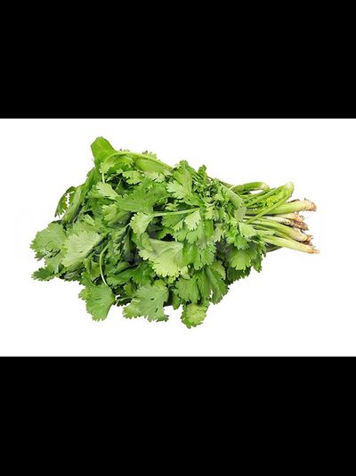 Кинза пучок