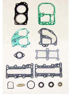 Комплект прокладок двигателя Johnson/Evinrude 500-119 WSM для лодочных моторов