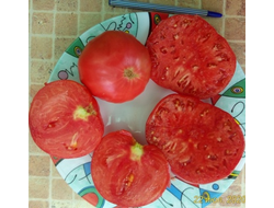 Томат Дакоста португальская (DaCosta's Portuguese)