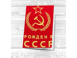 Обложка на паспорт СССР №10