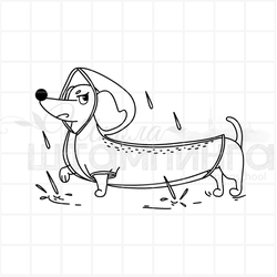 Штамп призерам июня в ШШ