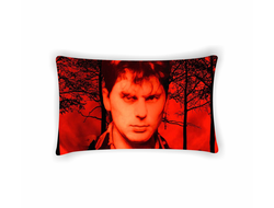 Подушка Сектор Газа, Юрий Хой №49