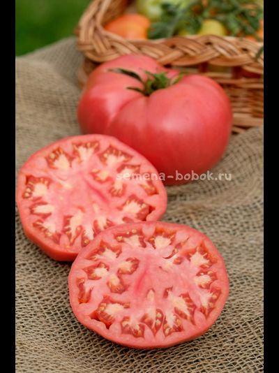 Томат Минусинский Крупный, 10 шт