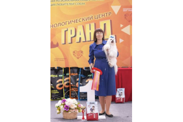 ЛУЧШИЙ ВЕТЕРАН / BEST IN SHOW VETERAN - 1 место МАЛЬТЕЗЕ ELEGANT PERSON WHITE QUEEN