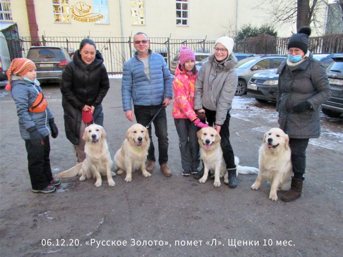 06.12.20 Выводка щенков "Л"