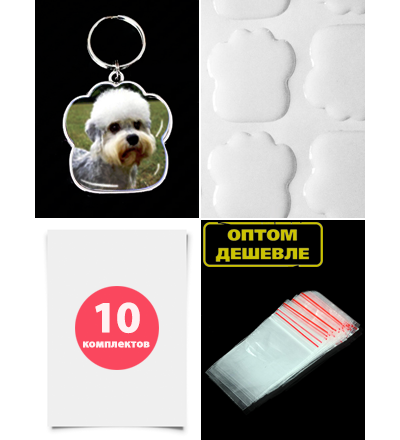 Комплект для изготовления адресников для собак, в форме лапки (заготовки с бортиками), 10 штук.