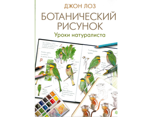Tvorchestvo Botanicheskij Risunok Uroki Naturalista