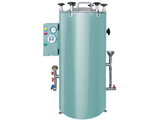 Стерилизатор паровой полуавтоматический ВКа-75-ПЗ (КИУС. 942711.001-01)