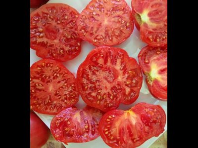 Томат Марманде розовый (Marmande pink)