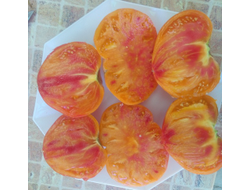 Томат Желто-розовый бабушки Виней (Grandma Viney’s Yellow and Pink, США)