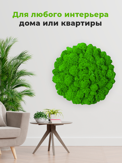 ЖИВАЯ ЭКО-КАРТИНА 1042