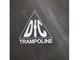 Батут DFC Trampoline Fitness 6FT