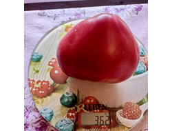 Томат Трюфельное сердце