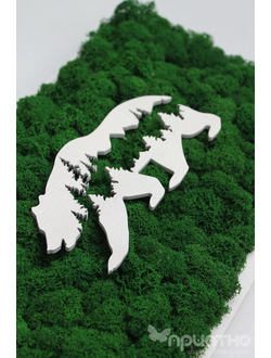 ЖИВАЯ ЭКО-КАРТИНА 1039