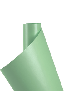Пленка для цветов мат/жемчуг 58см*10м Блестящий зеленый ПР06/12