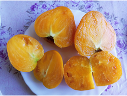 Томат гном Абрикос Виллы Карибу (Dwarf Willa’s cariboo apricot)