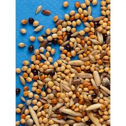 RIO Корм для волнистых попугаев 500 г