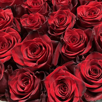 199 Красных роз