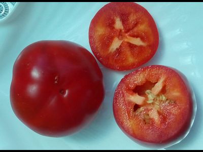 Перец острый Алма паприка (Яблочный перец, Alma Paprika)