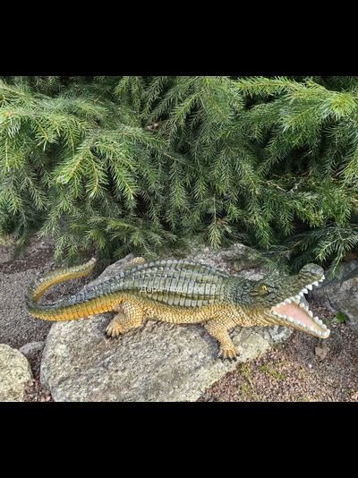 Крокодил 15*40см   1,2кг   полистоун Россия 1844/012457*