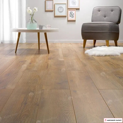 Ламинат Homflor Distingo Pablo 526 33 класс толщина 10 мм с фаской 1.5483 м2