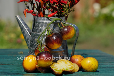 Томат Stripes of Yore (Страйпс оф Йор), 10 шт