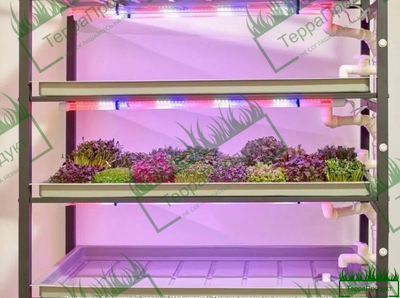 ТЕЛЕЖКА «ДАТСКИЙ КОНТЕЙНЕР» 1350x560x1900 С КОМПЛЕКТОМ ЛОТКОВ (ПОДДОНОВ) И ЛАМП LED ЛАМП ДЛЯ МИКРОЗЕЛЕНЬ, 4 Led Лампы в комплекте ( по 1 шт.на полку)