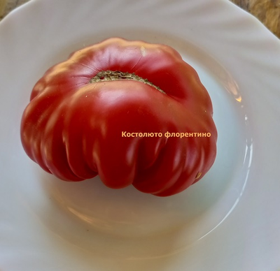 Томат Костолюто Фиорентино (Costoluto Fiorentino)