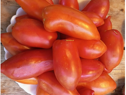 Томат Корнабель F6