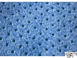 Замша протирочная