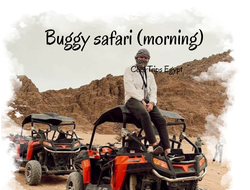 Buggy safari in the morning (2 hours program) (El Quseir, Port Ghalib, Marsa Alam)