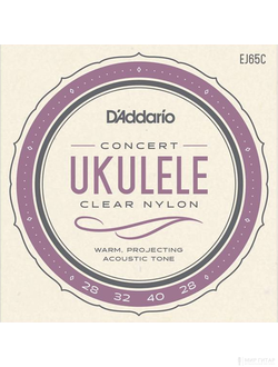 D`Addario EJ65C Pro-Arte Custom Extruded