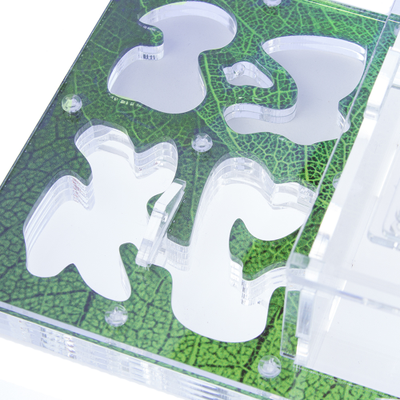 Формикарий 4ants комплект Antrum M зеленый + колония Messor Structor