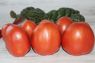 Германский говард