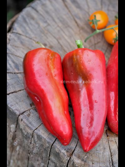 Перец сладкий Гена, 10 шт