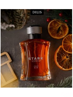 Dilis Туалетная вода мужская Stark POWER | Дилис