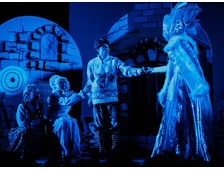 21.12 10-00 СНЕЖНАЯ КОРОЛЕВА Взрослый билет