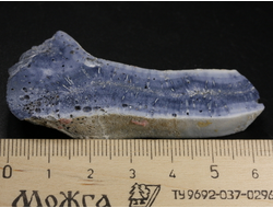 Коралл голубой Акори, Австралия (64*28*10 мм, 20 г) №37704