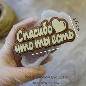 Форма для шоколада надпись "Спасибо что ты есть"