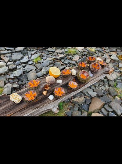 Полуостров Рыбачий (5 дней)