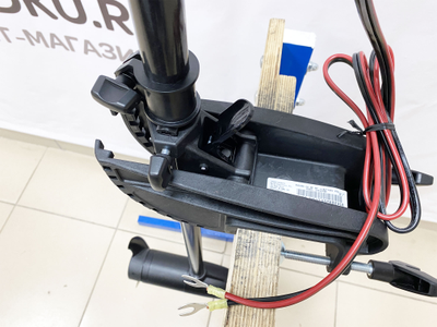 Лодочный электромотор MINN KOTA ENDURA 30 C2 - MNELODKU.RU