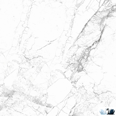 Керамогранит Belani Bursa белый 60х60 см матовый Береза керамика