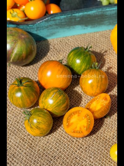 Томат Dwarf Jeremy's Stripes (Гном Джереми Полосатый), 10 шт