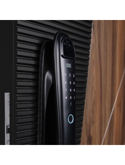 Стальная дверь   Сапсан (биометрический замок Smart lock DZ 888)