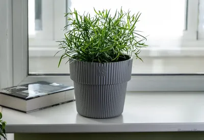 Горшок с дренажной системой Алемар VipSet 2,4л серый