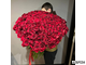 Букет из 151 розы эквадор 70см «Silly»2