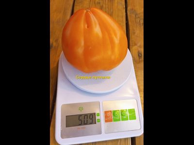 Томат Сердце пустыни