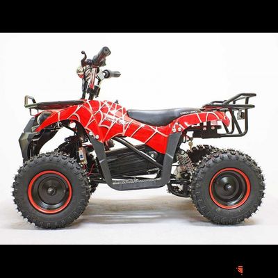 Квадроцикл GreenCamel Gobi K40 (30Ah 36V 800W R6 Цепной привод) быстросъем, Красный паук