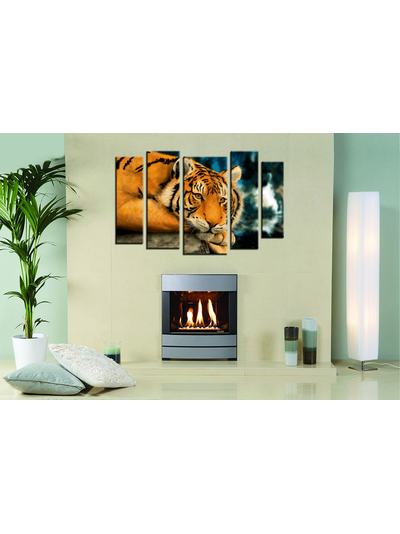 Модульная картина "Грустная кошка"